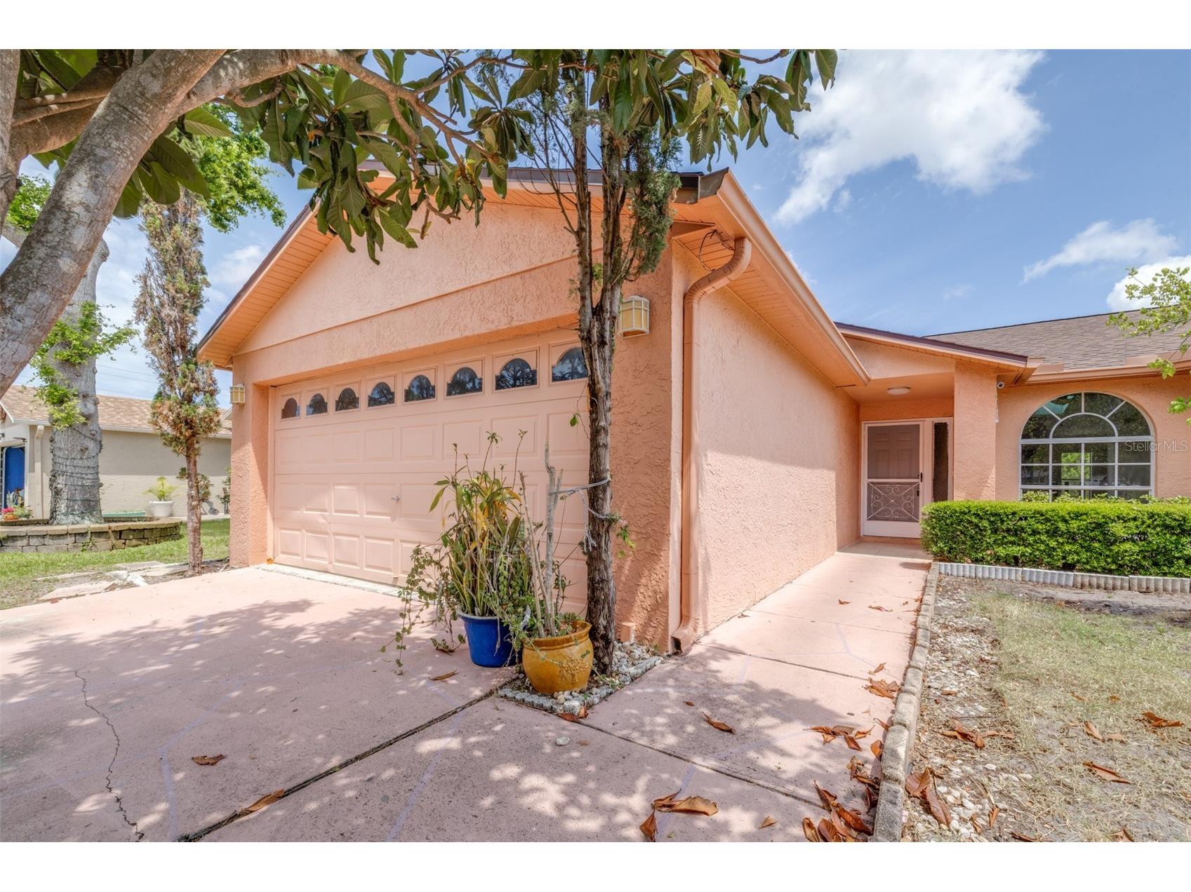 2538 Countryside Pines Drive Clearwater FL 33761 TB8509611 image7