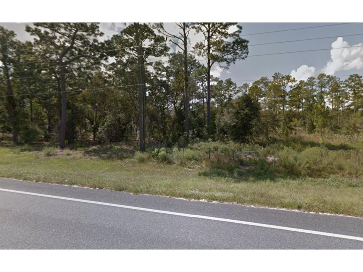 2538 SE State Road 121 Morriston FL 32668 U8192214 image1