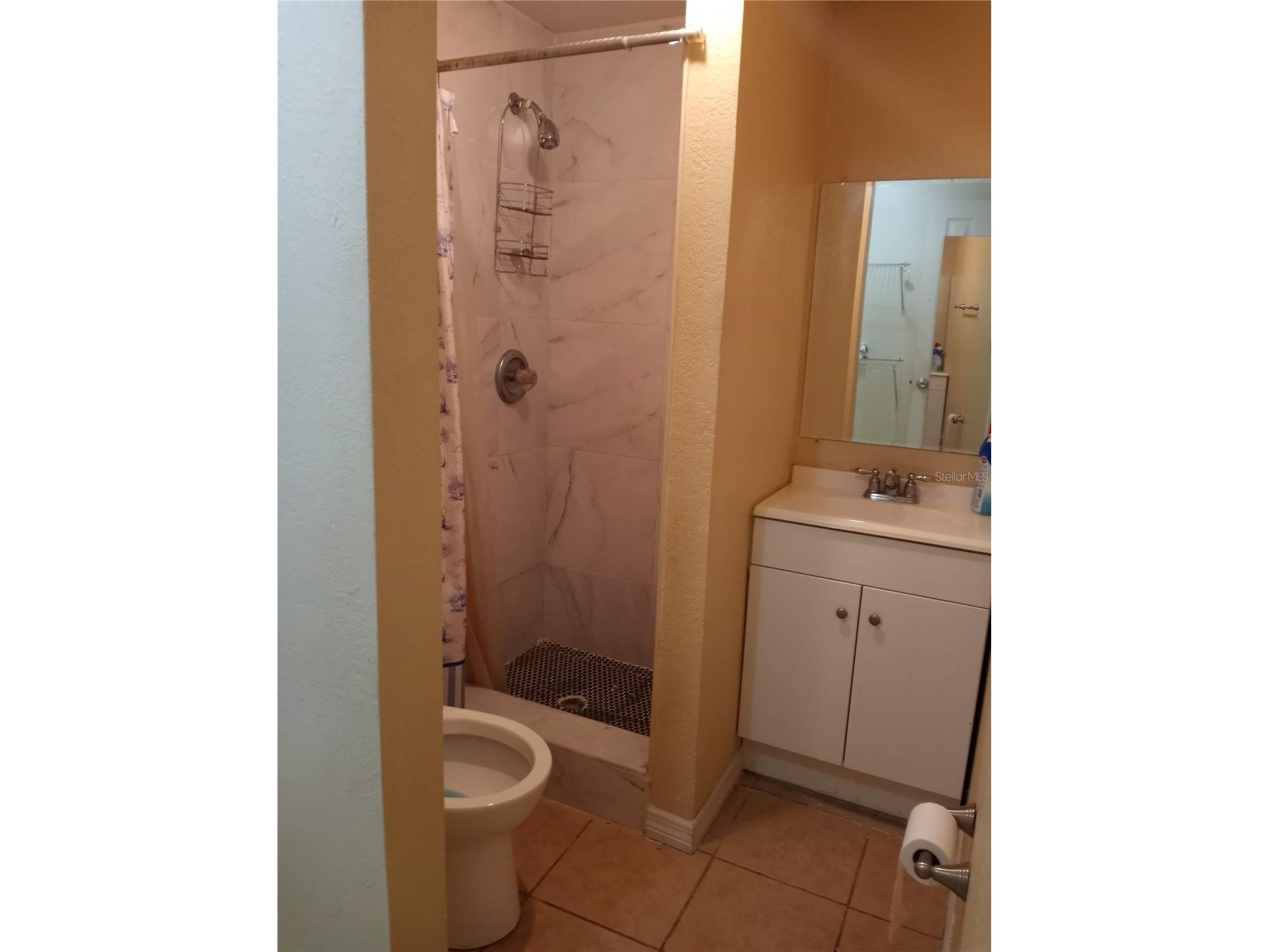 2538 W Hiawatha Street Tampa FL 33614 TB8492721 image44
