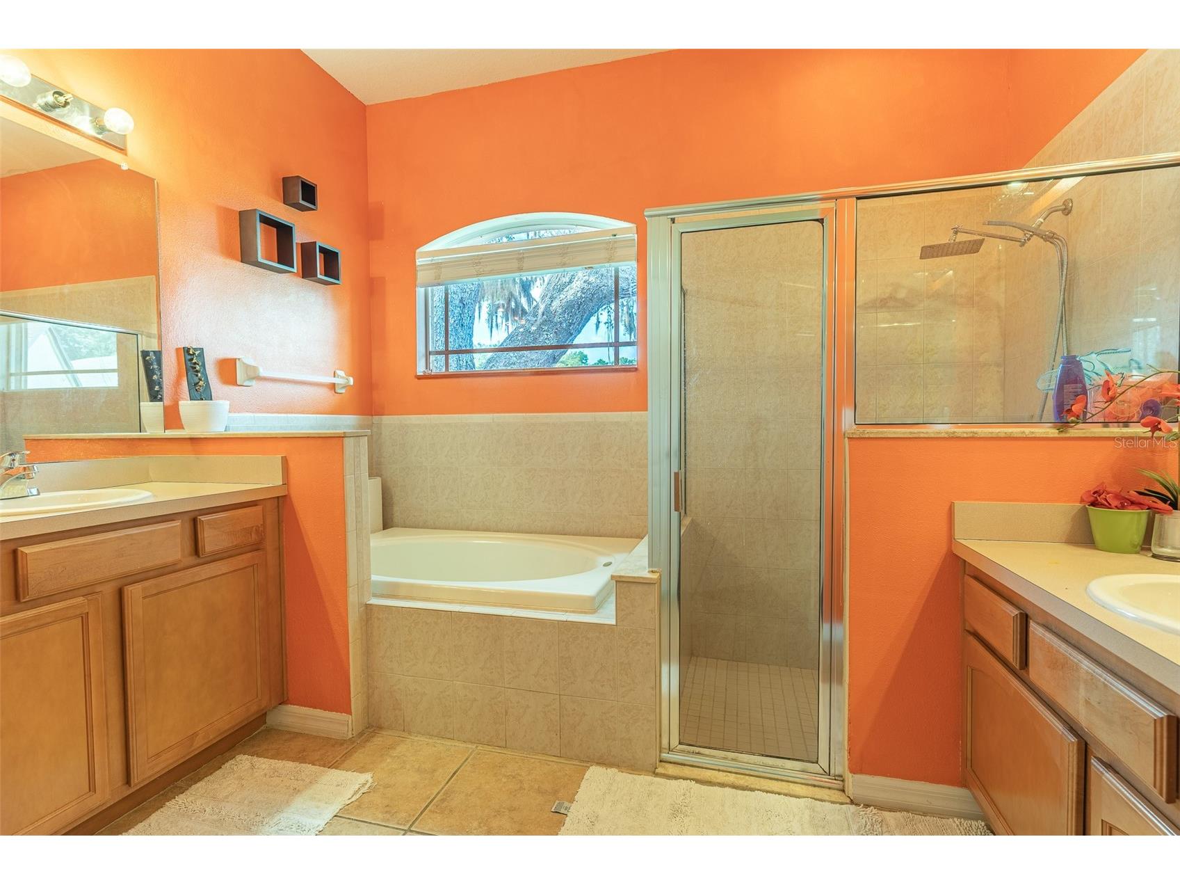 2539 Centennial Falcon Drive Valrico FL 33596 L4961355 image14