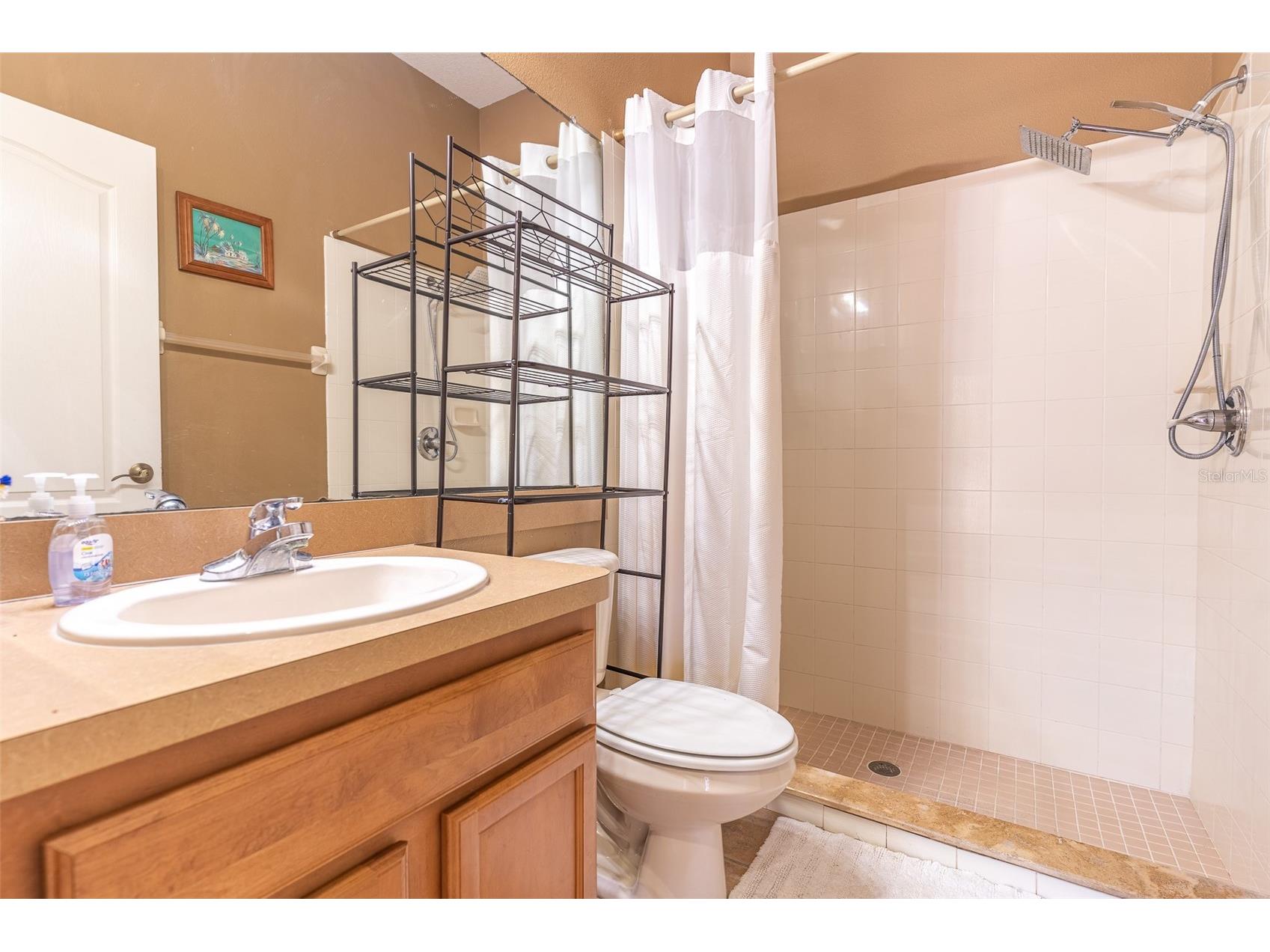 2539 Centennial Falcon Drive Valrico FL 33596 L4961355 image19