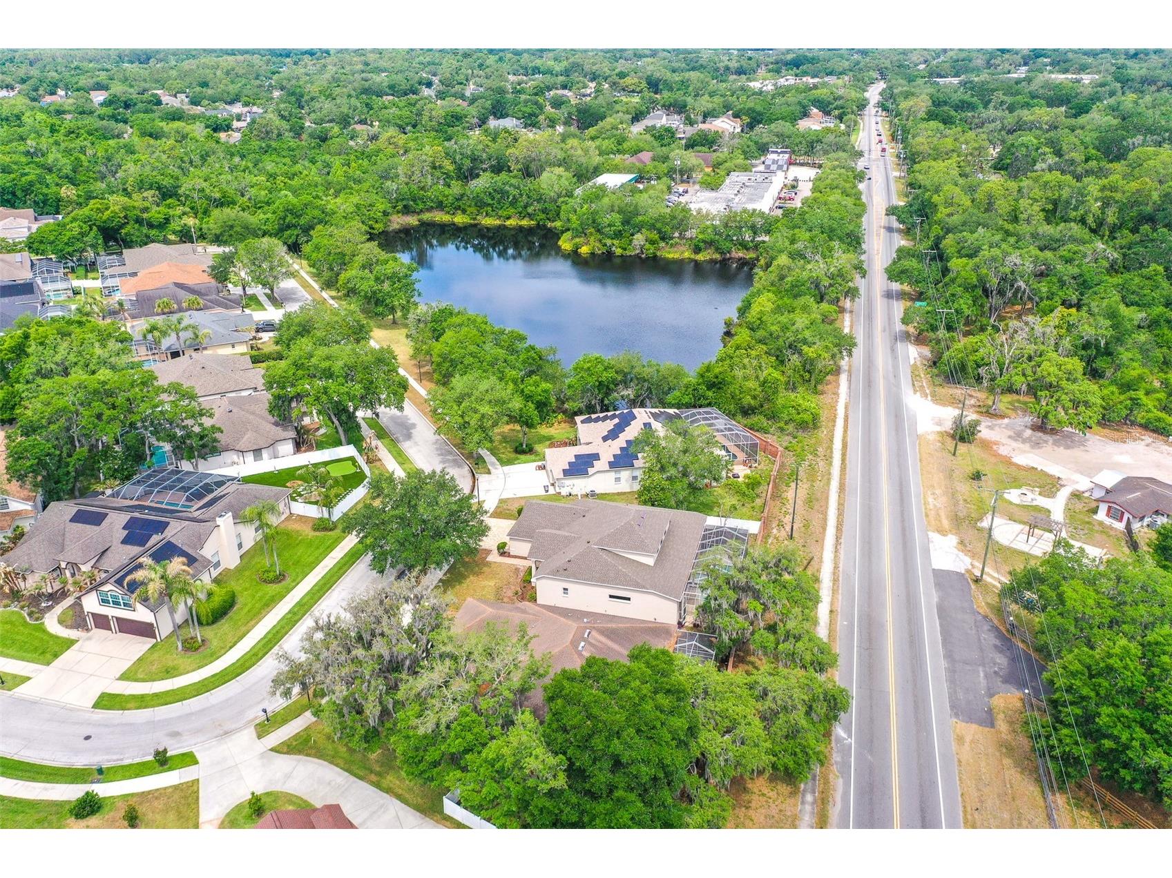 2539 Centennial Falcon Drive Valrico FL 33596 L4961355 image33
