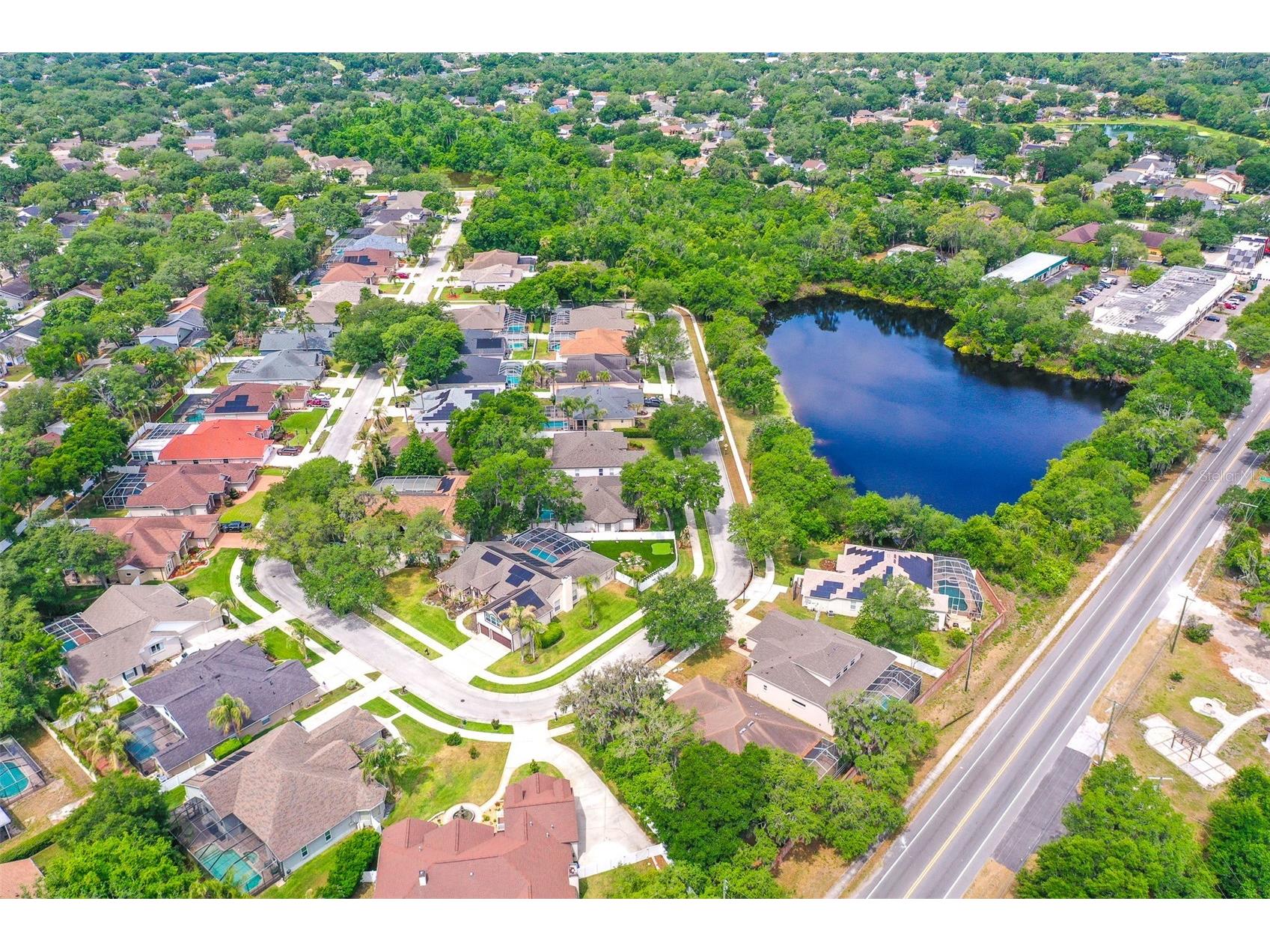 2539 Centennial Falcon Drive Valrico FL 33596 L4961355 image35