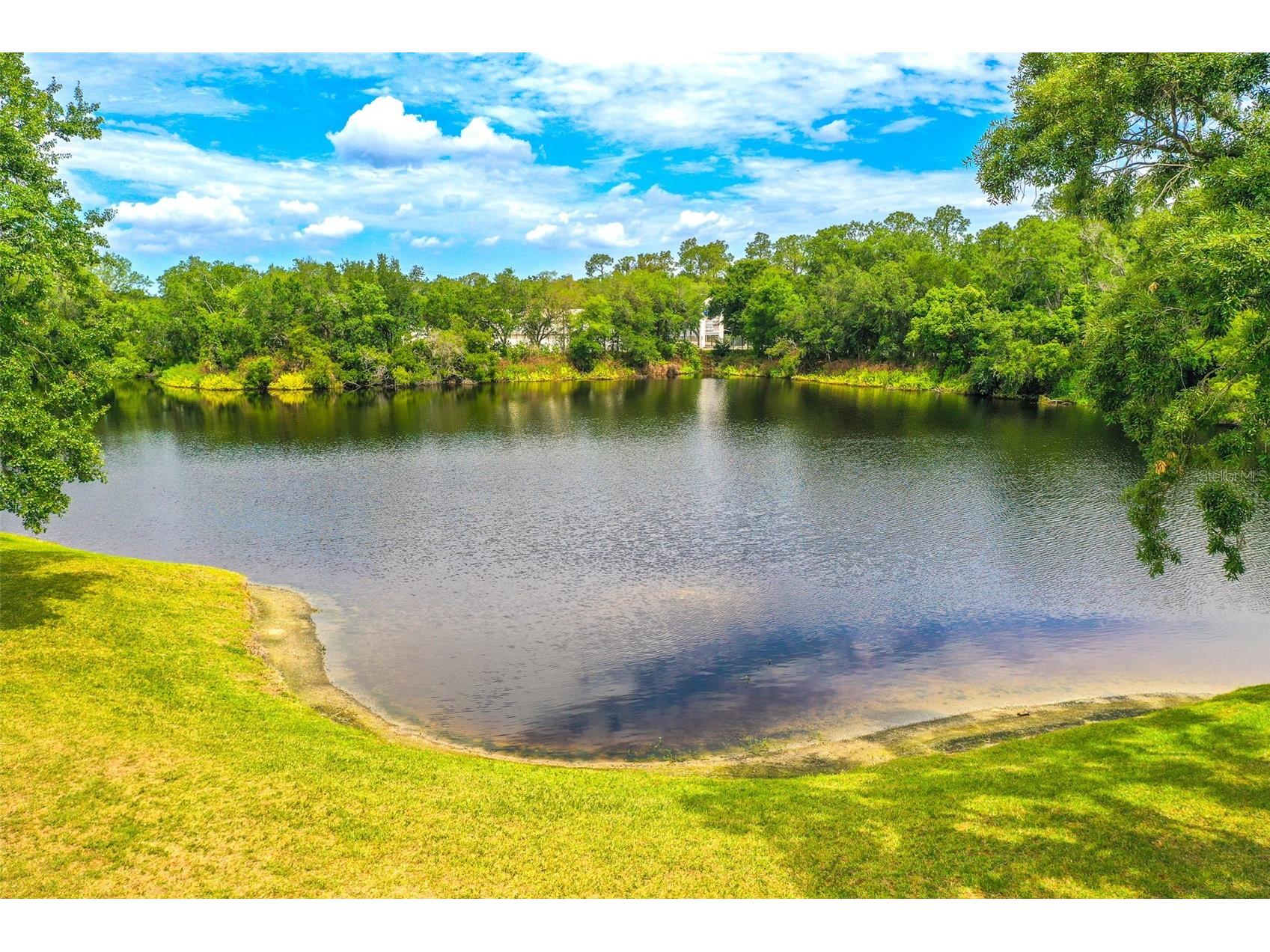 2539 Centennial Falcon Drive Valrico FL 33596 L4961355 image37