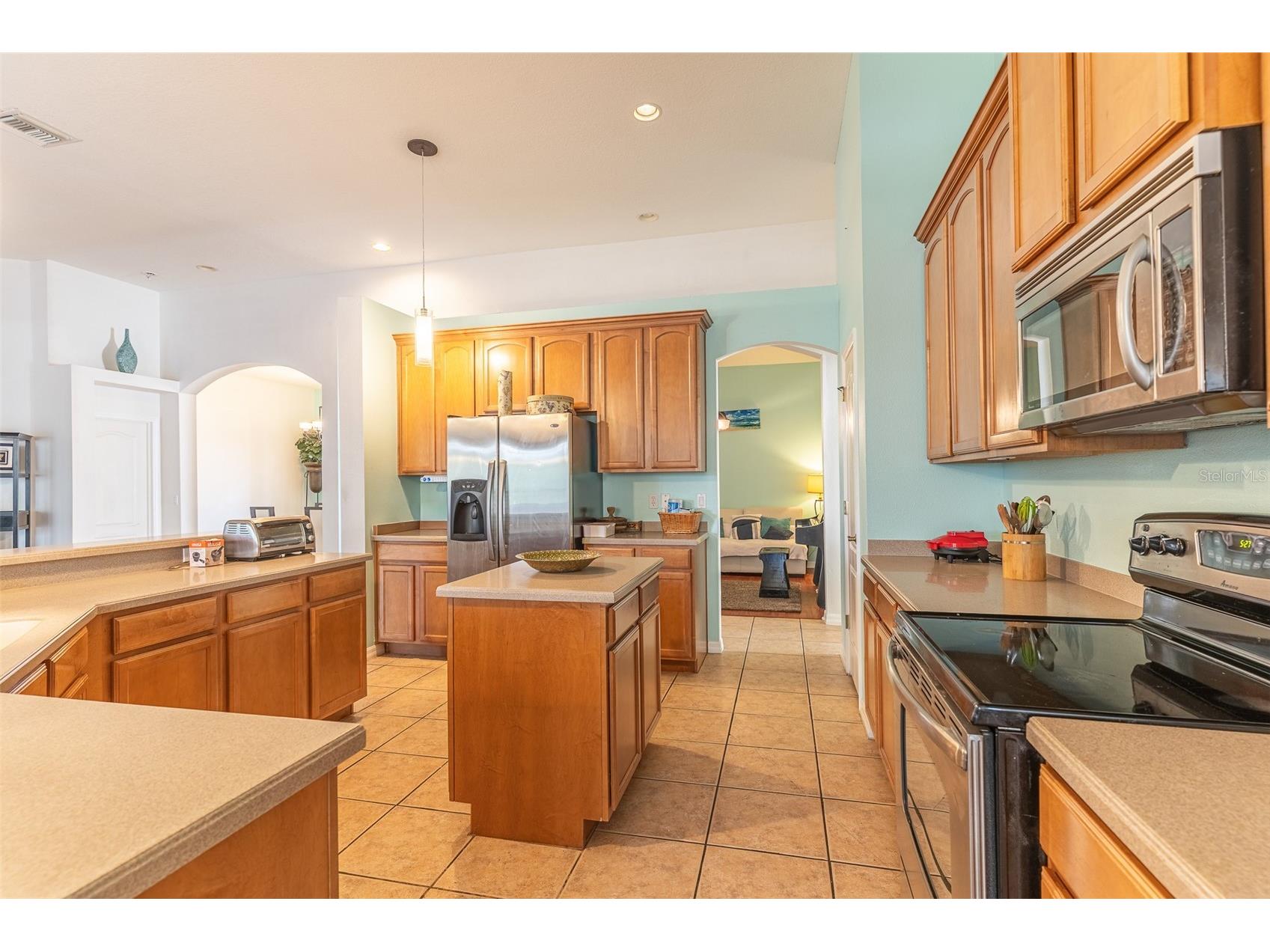 2539 Centennial Falcon Drive Valrico FL 33596 L4961355 image4