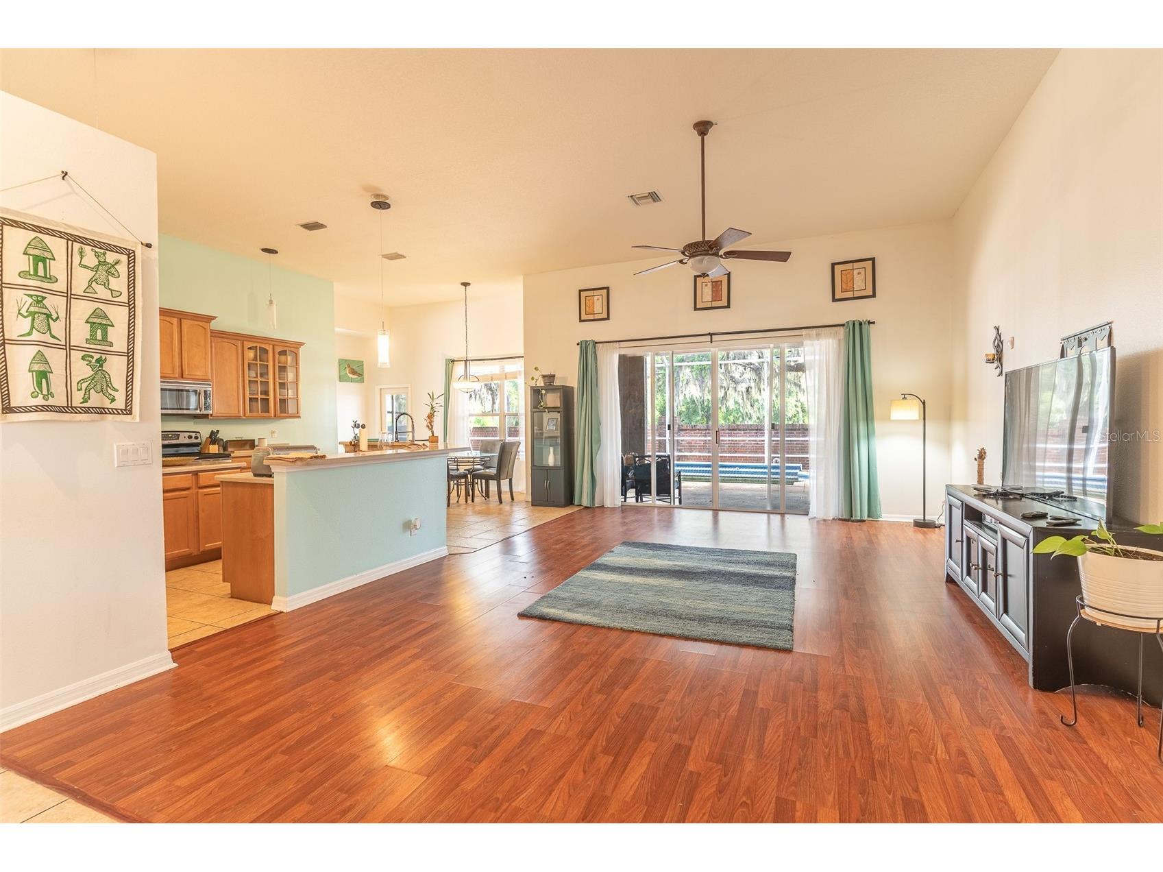 2539 Centennial Falcon Drive Valrico FL 33596 L4961355 image5