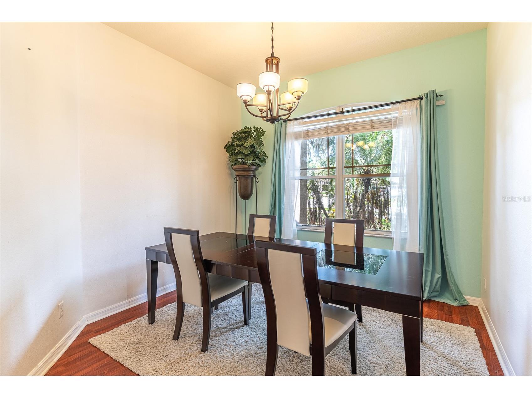 2539 Centennial Falcon Drive Valrico FL 33596 L4961355 image9