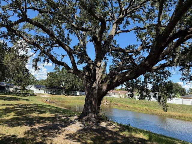 2539 Christine Drive Kissimmee FL 34744 O6340298 image40