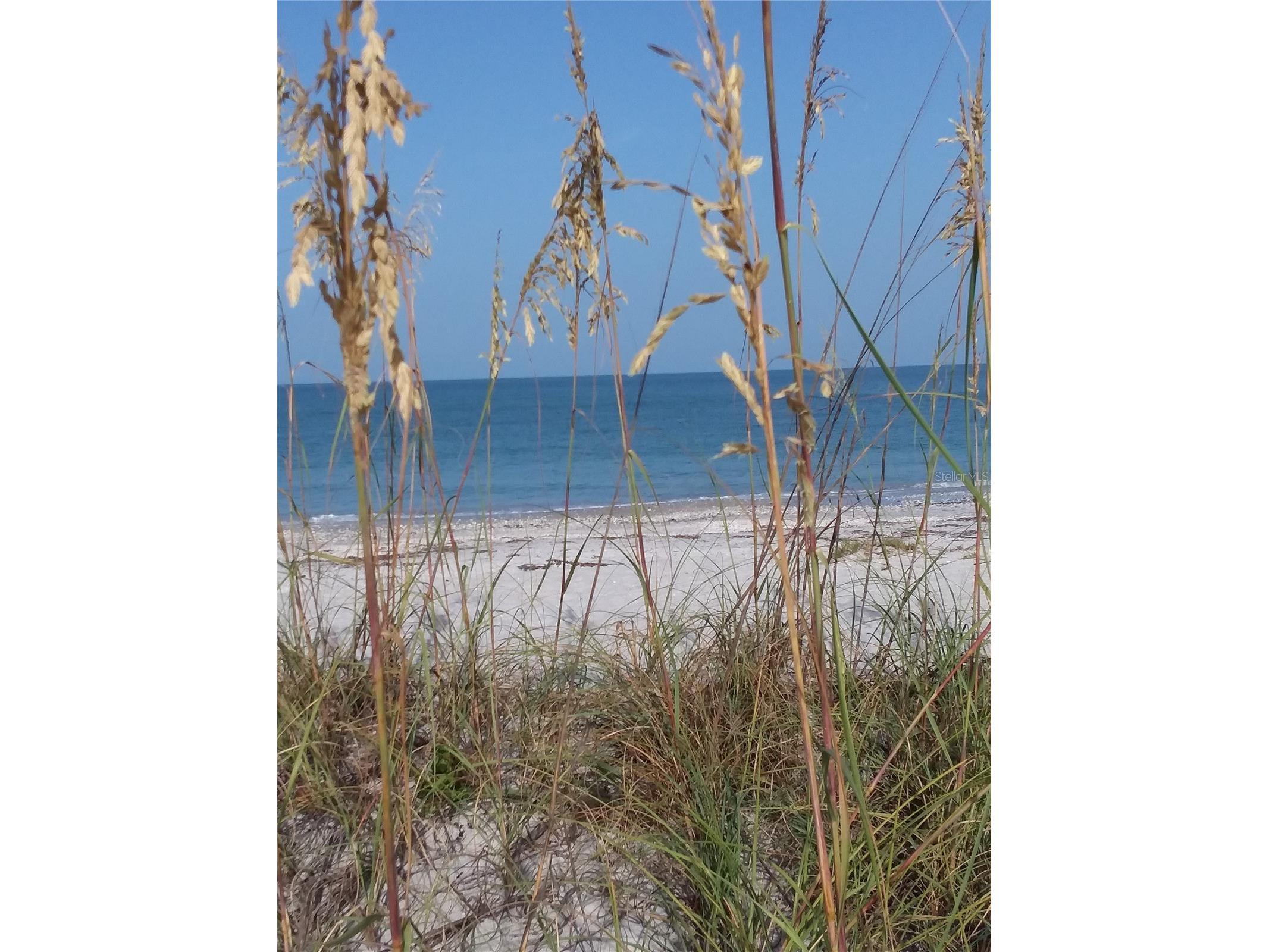 2539 Dixon Terrace Port Charlotte FL 33981 - QUALL WATERWAY/MYAKKA RIVER D6145795 image10
