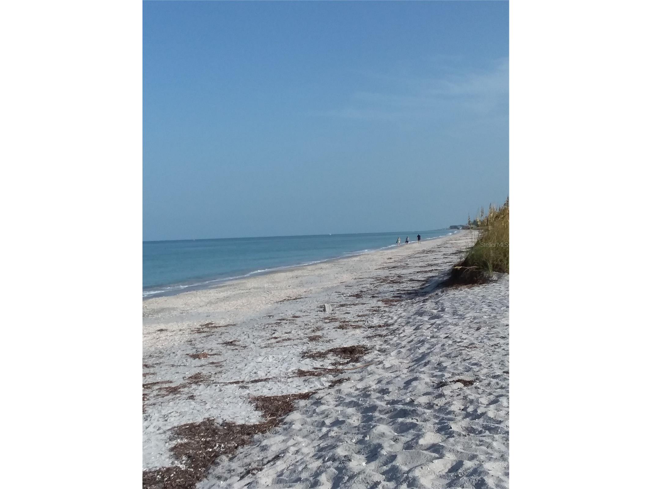 2539 Dixon Terrace Port Charlotte FL 33981 - QUALL WATERWAY/MYAKKA RIVER D6145795 image9