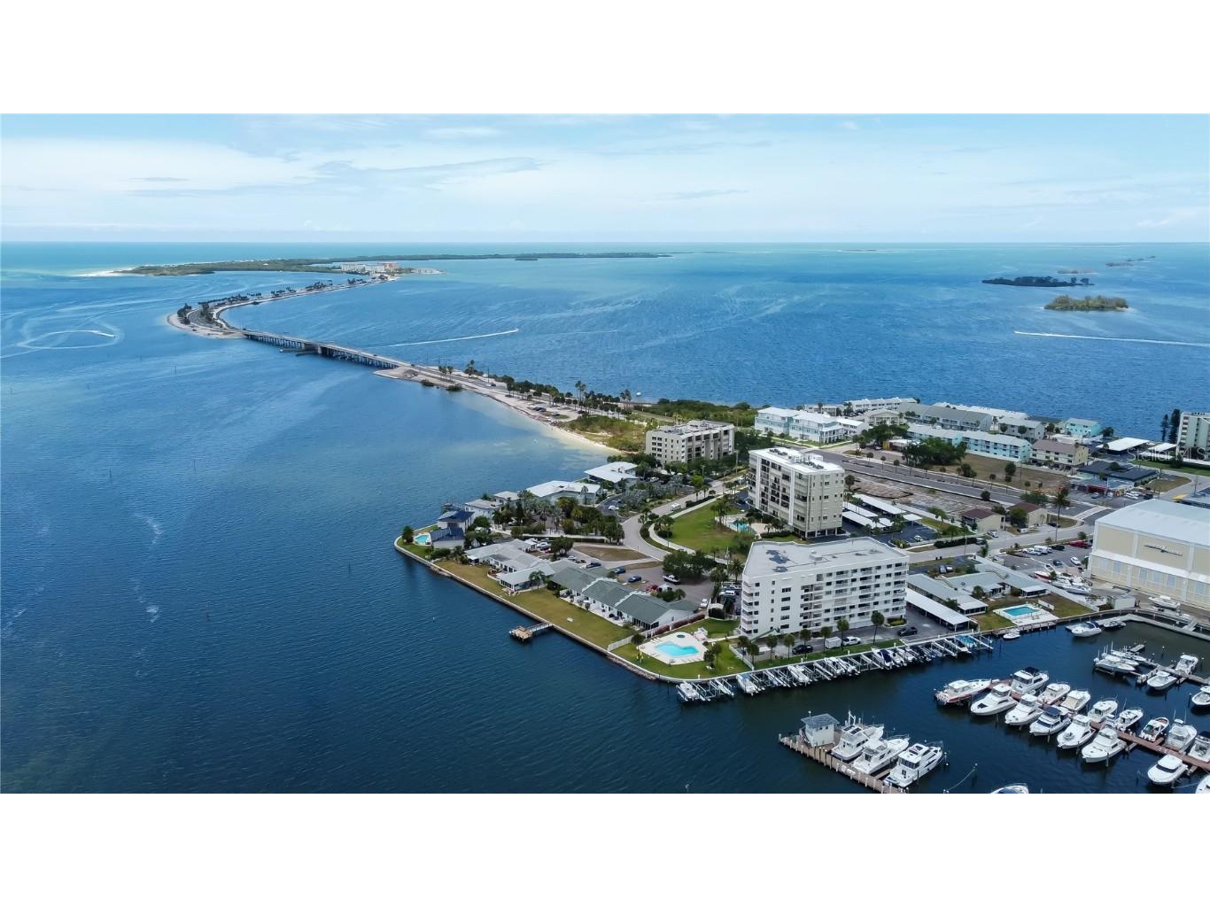 2539 Gary Circle #505 Dunedin FL 34698 U8200193 image1