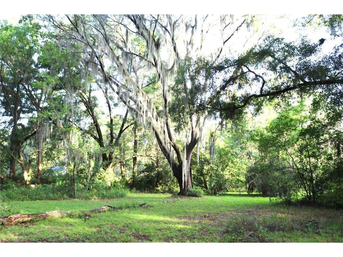 2539 NW 31st Avenue Gainesville FL 32605 GC523879 image1