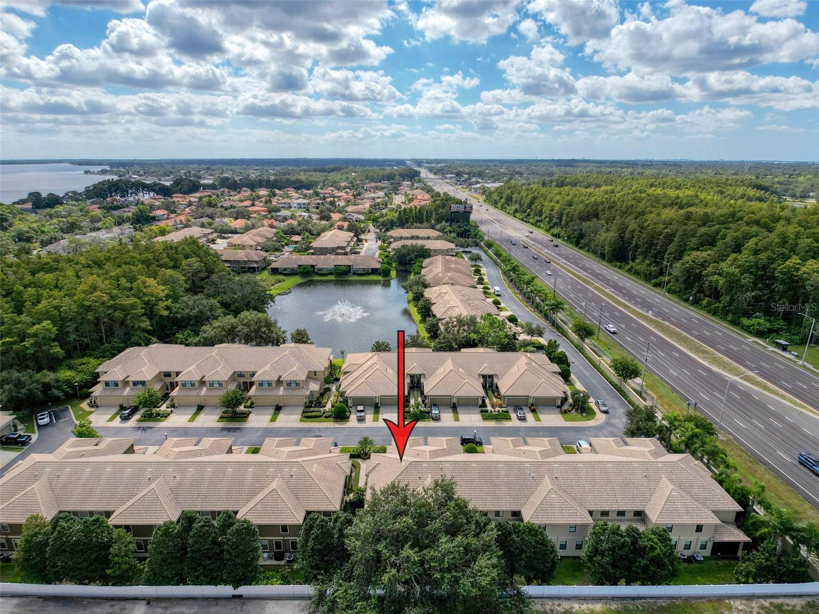 2539 Silverback Court Palm Harbor FL 34684 TB8440591 image1