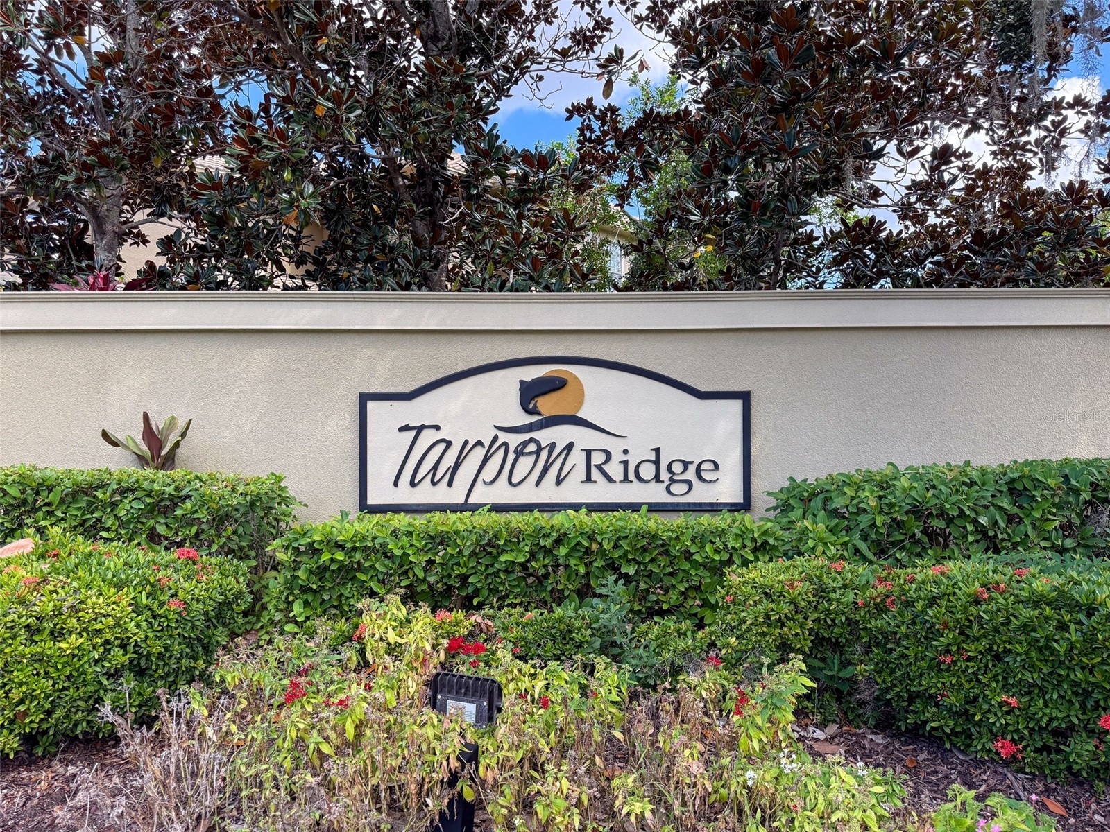 2539 Silverback Court Palm Harbor FL 34684 TB8440591 image38