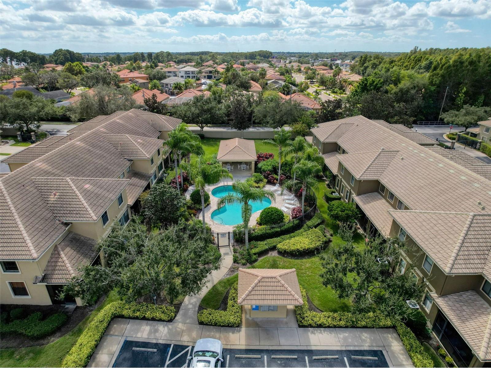 2539 Silverback Court Palm Harbor FL 34684 TB8440591 image40