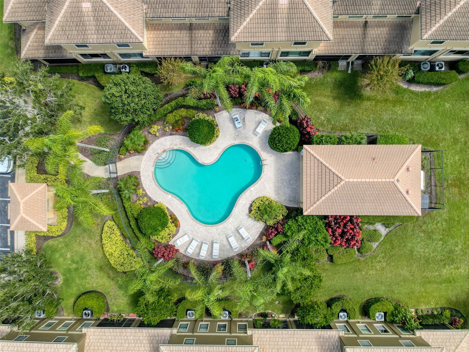 2539 Silverback Court Palm Harbor FL 34684 TB8440591 image41