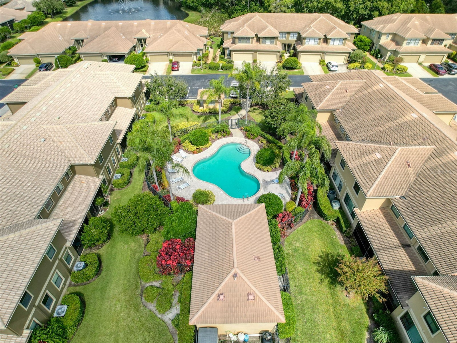 2539 Silverback Court Palm Harbor FL 34684 TB8440591 image42