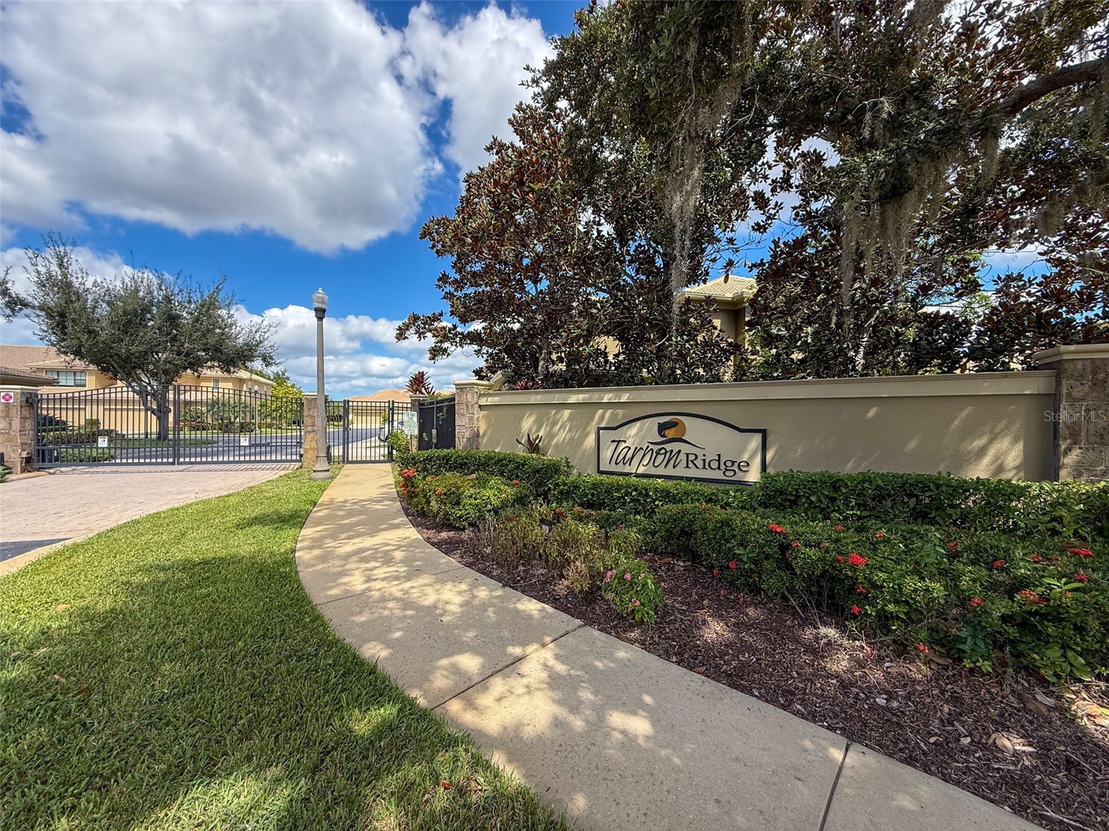 2539 Silverback Court Palm Harbor FL 34684 TB8440591 image43