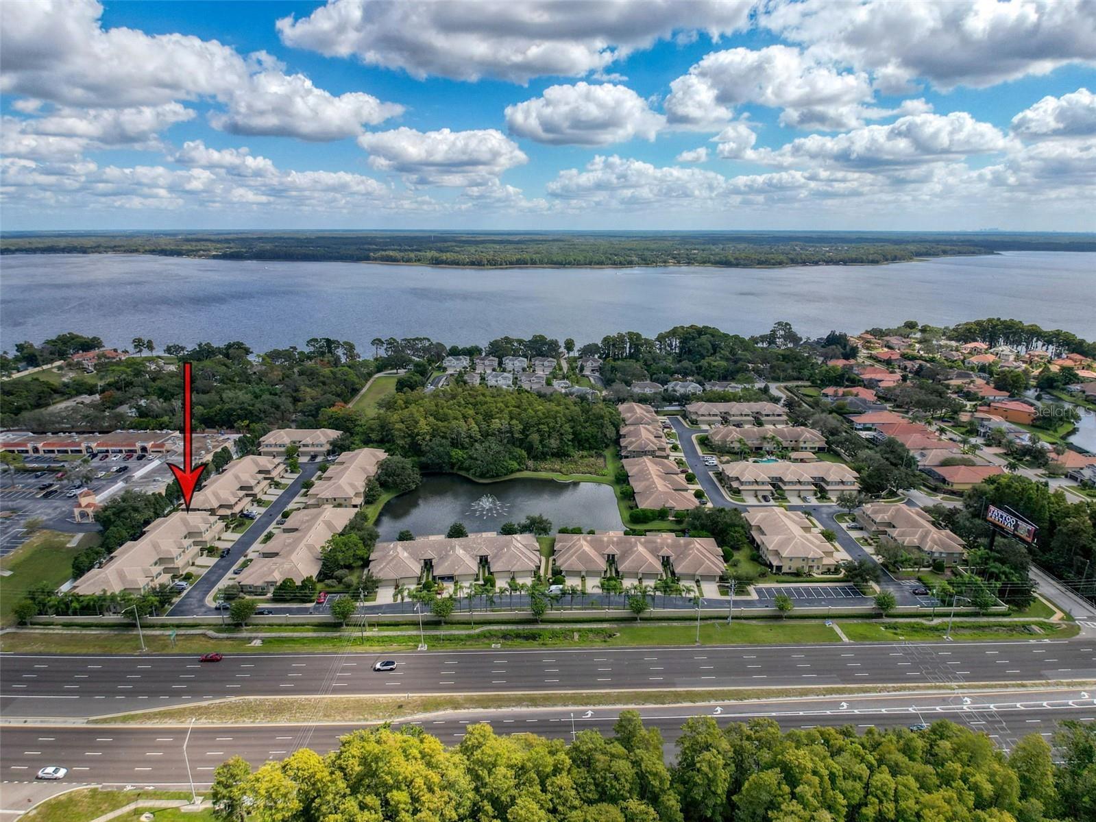 2539 Silverback Court Palm Harbor FL 34684 TB8440591 image44