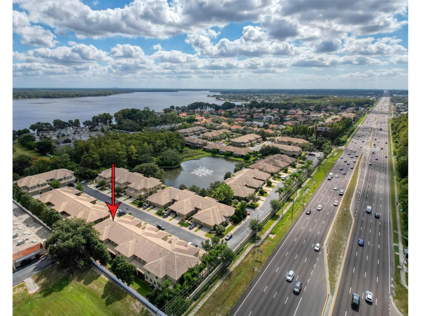 2539 Silverback Court Palm Harbor FL 34684 TB8440591 image45