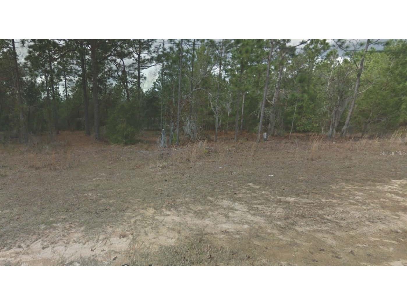 254 Brussels Avenue Interlachen FL 32148 OM715768 image1