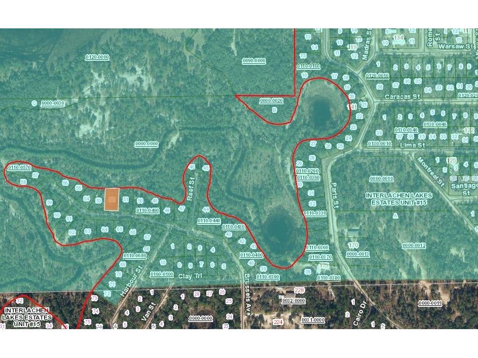 254 Brussels Avenue Interlachen FL 32148 OM715768 image2