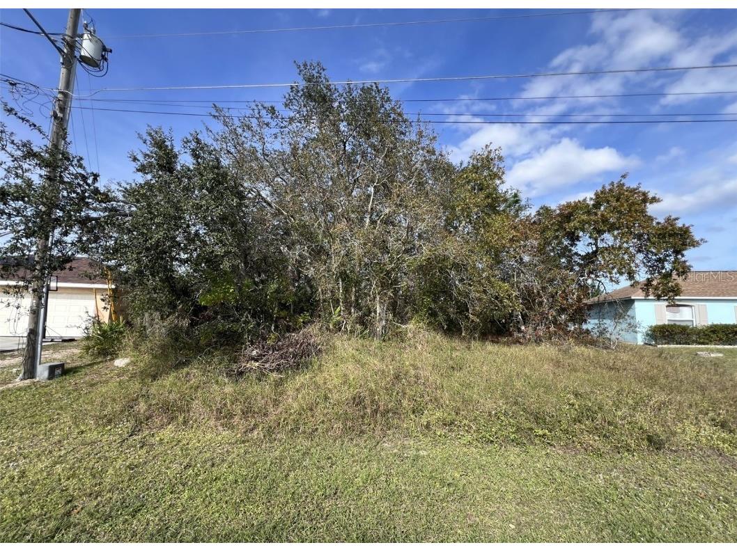 254 Grouper Court Poinciana FL 34759 P4928453 image1