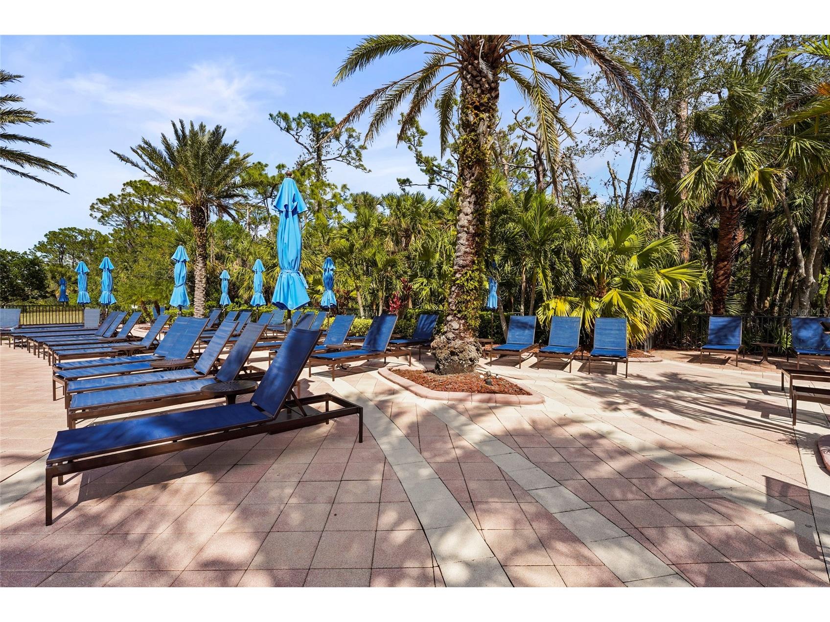 254 Pesaro Drive North Venice FL 34275 A4672993 image91