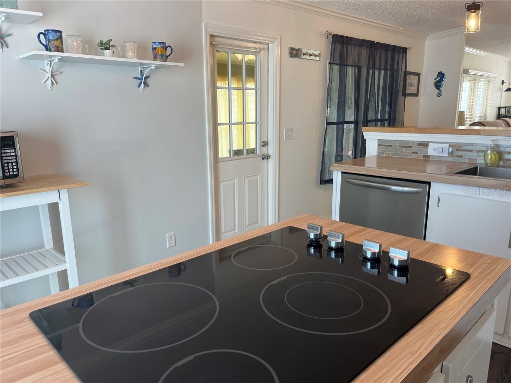 254 Seabreeze Drive Flagler Beach FL 32136 - INTRACOASTAL WATERWAY FC315098 image16