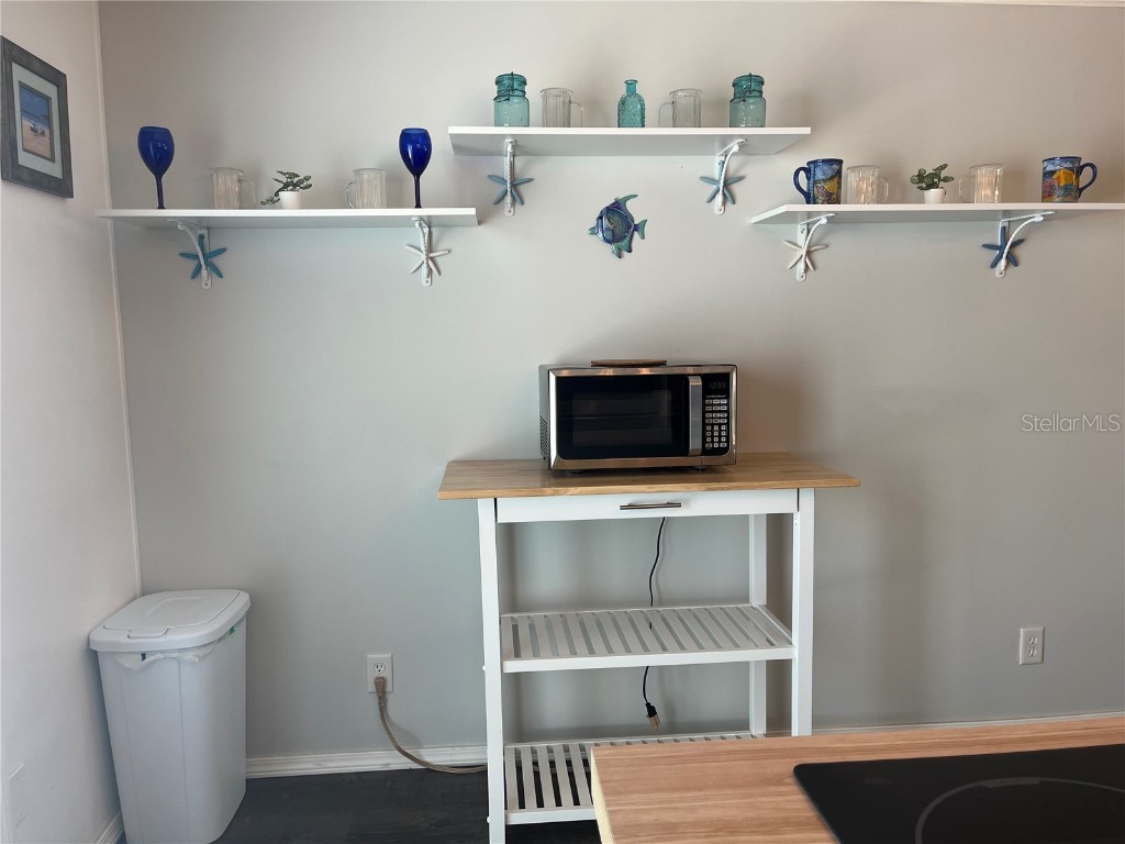 254 Seabreeze Drive Flagler Beach FL 32136 - INTRACOASTAL WATERWAY FC315098 image17