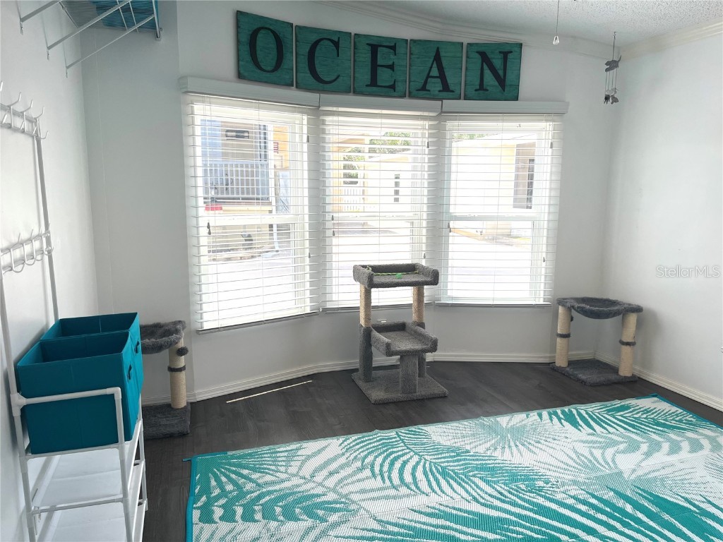 254 Seabreeze Drive Flagler Beach FL 32136 - INTRACOASTAL WATERWAY FC315098 image26