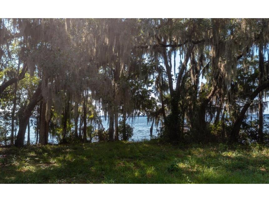 254 St Johns Drive Palatka FL 32177 - ST JOHNS RIVER NS1086948 image12