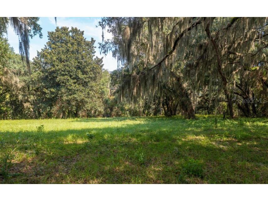 254 St Johns Drive Palatka FL 32177 - ST JOHNS RIVER NS1086948 image13
