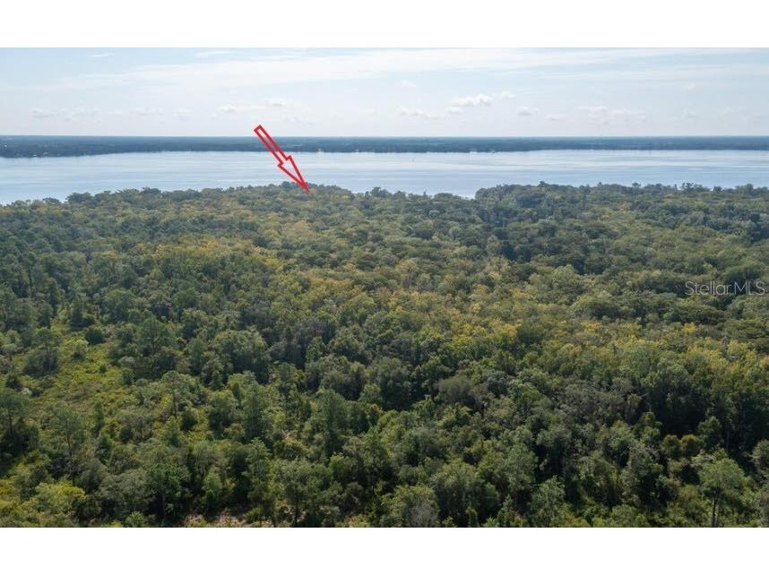 254 St Johns Drive Palatka FL 32177 - ST JOHNS RIVER NS1086948 image14