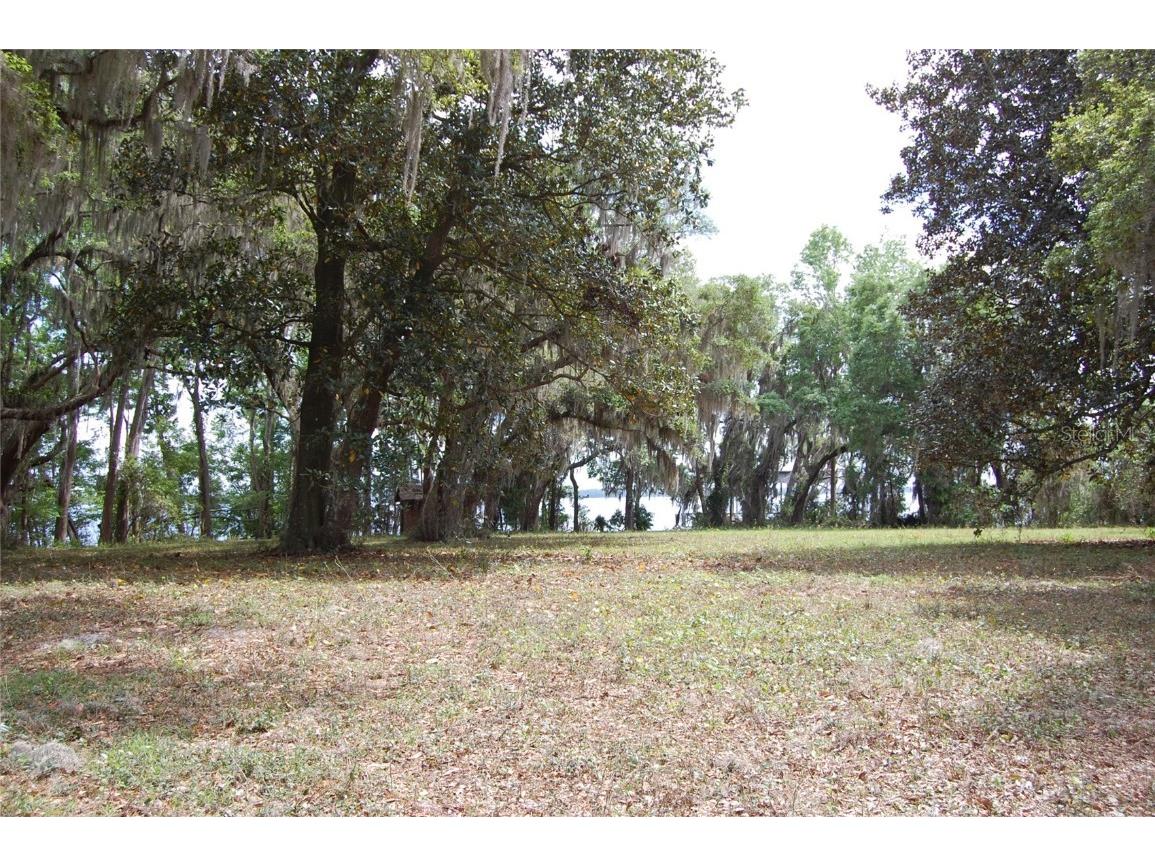254 St Johns Drive Palatka FL 32177 - ST JOHNS RIVER NS1086948 image16