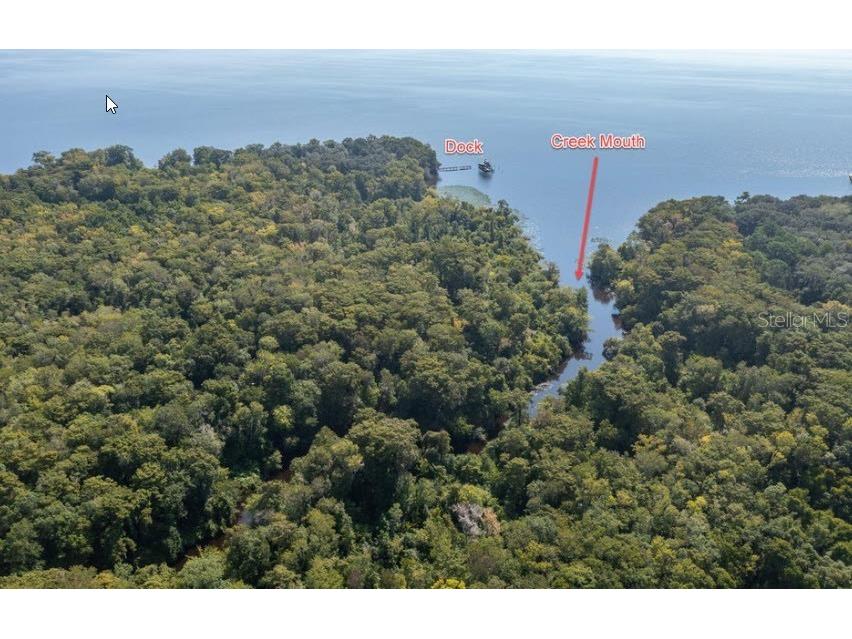 254 St Johns Drive Palatka FL 32177 - ST JOHNS RIVER NS1086948 image7
