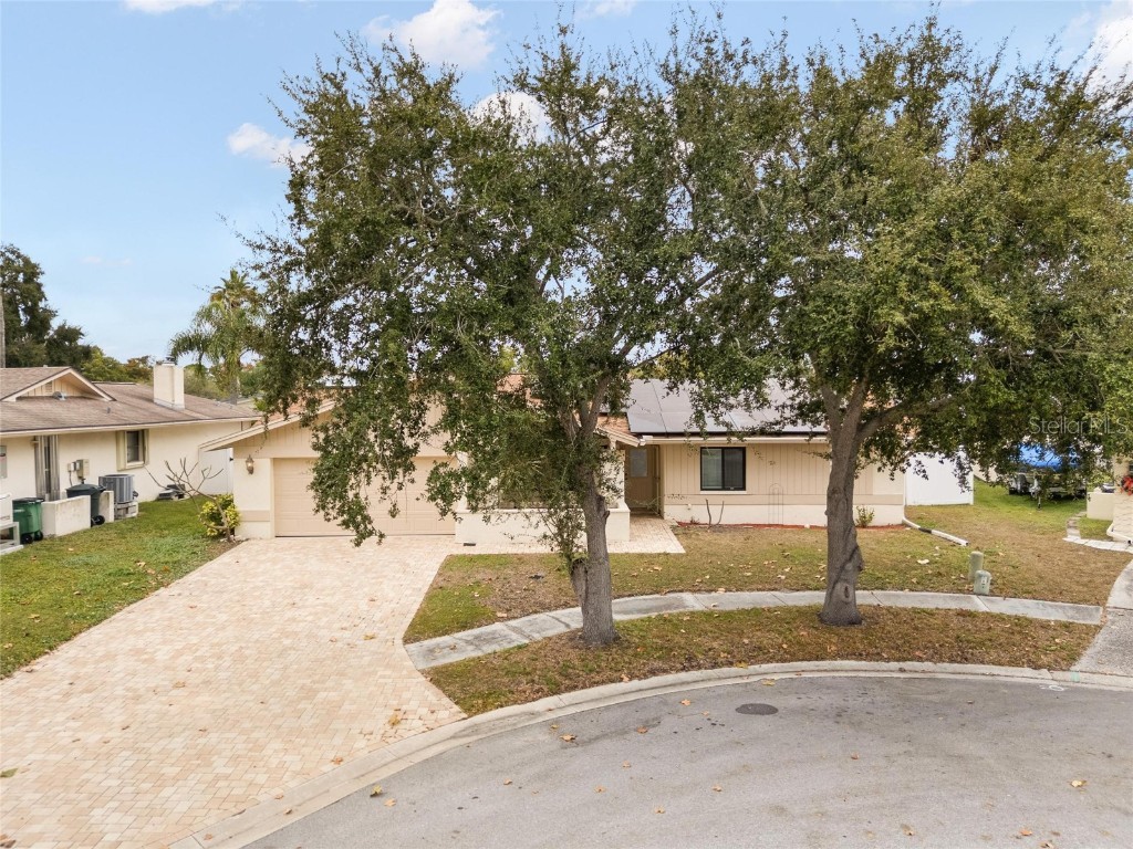 254 Timberview Drive Safety Harbor FL 34695 TB8449212 image35