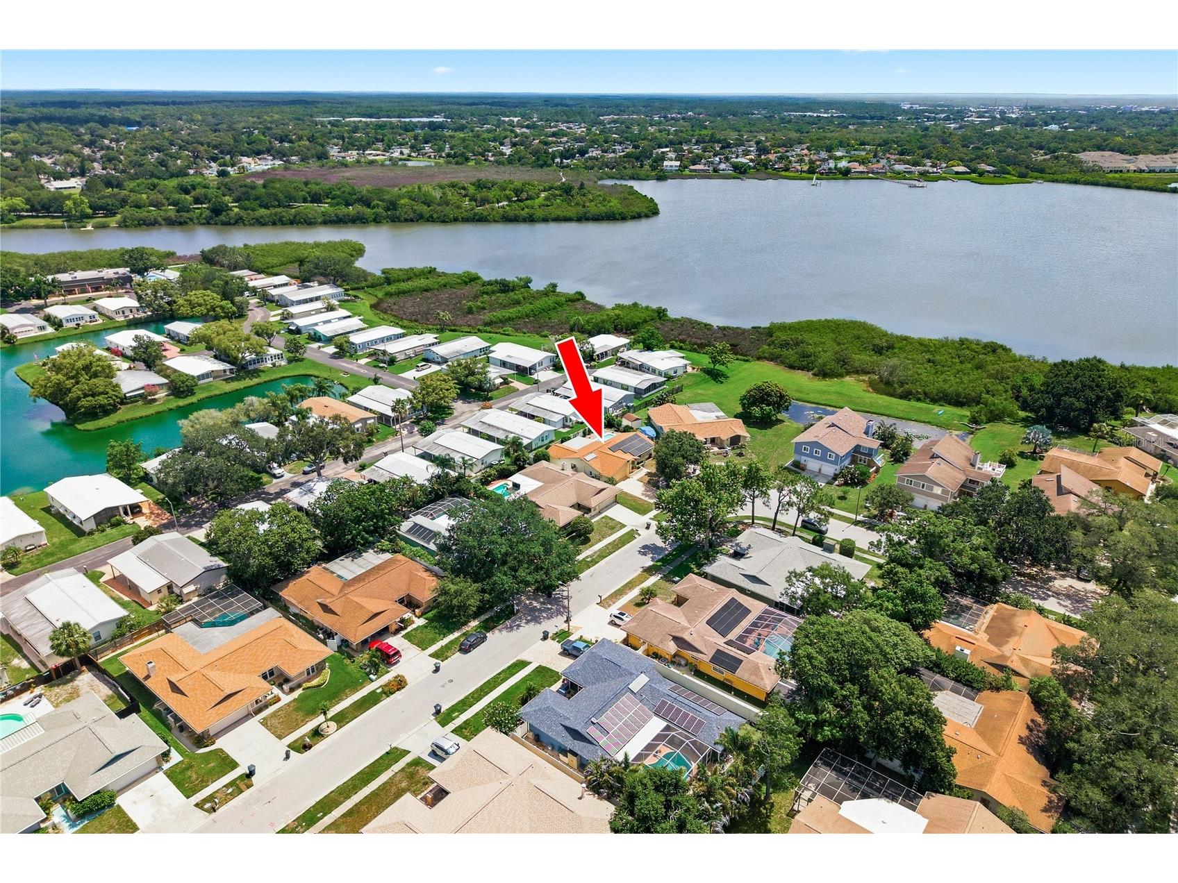 254 Timberview Drive Safety Harbor FL 34695 TB8519495 image9