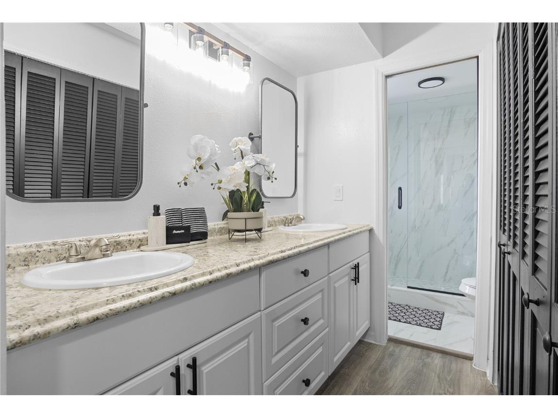 2540 Albany Drive Kissimmee FL 34758 O6273982 image62