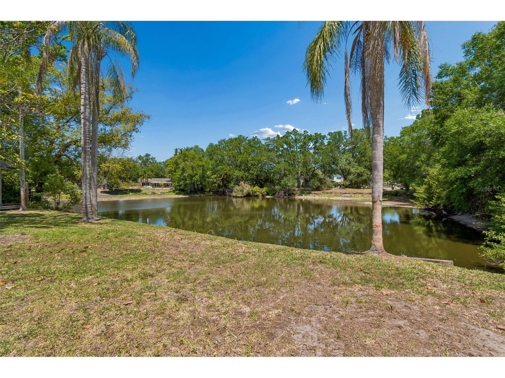 2540 Lake Ellen Circle Tampa FL 33618 TB8501087 image37