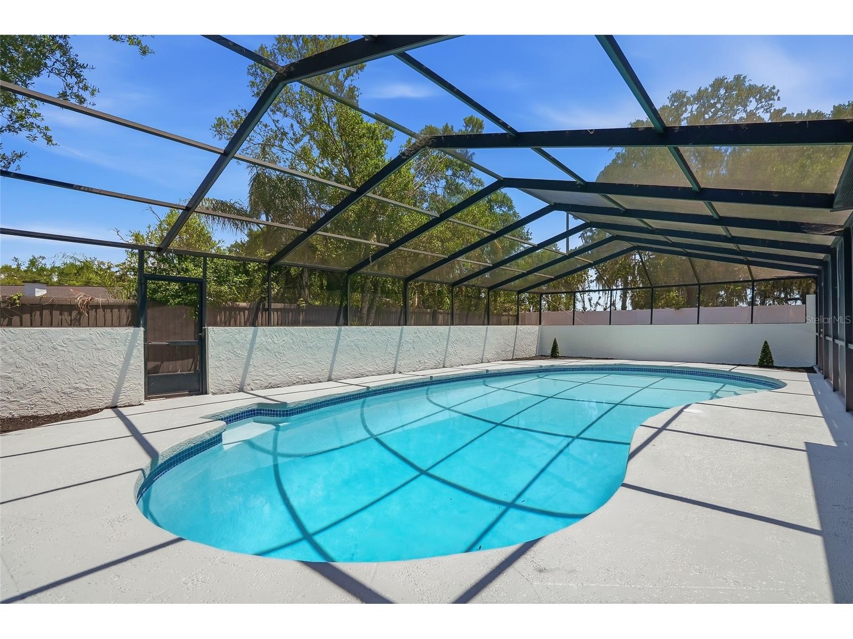 2540 Laurelwood Lane Valrico FL 33596 TB8506400 image52