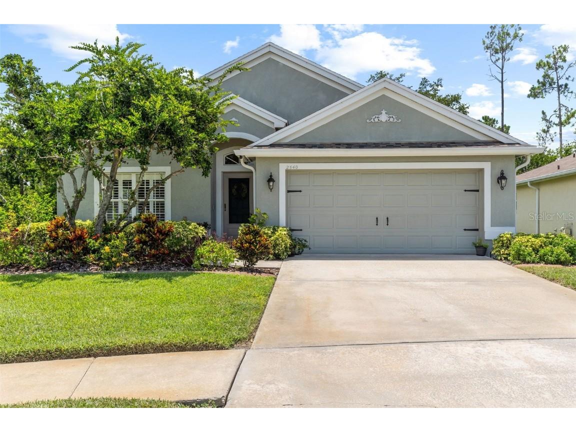 2540 Rosehaven Drive Wesley Chapel FL 33544 TB8407128 image1