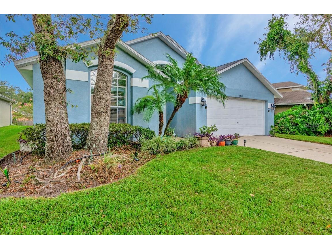2540 Siena Way Valrico FL 33596 T3454524 image1