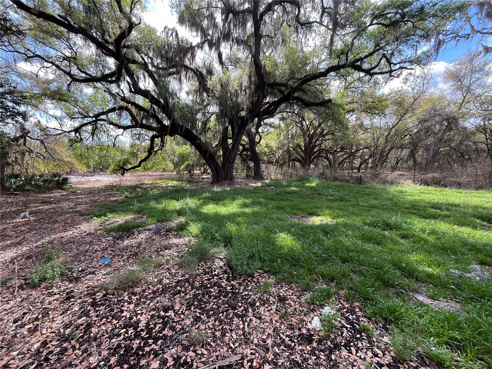 2540 Tiger Creek Trail Lake Wales FL 33898 P4938130 image1