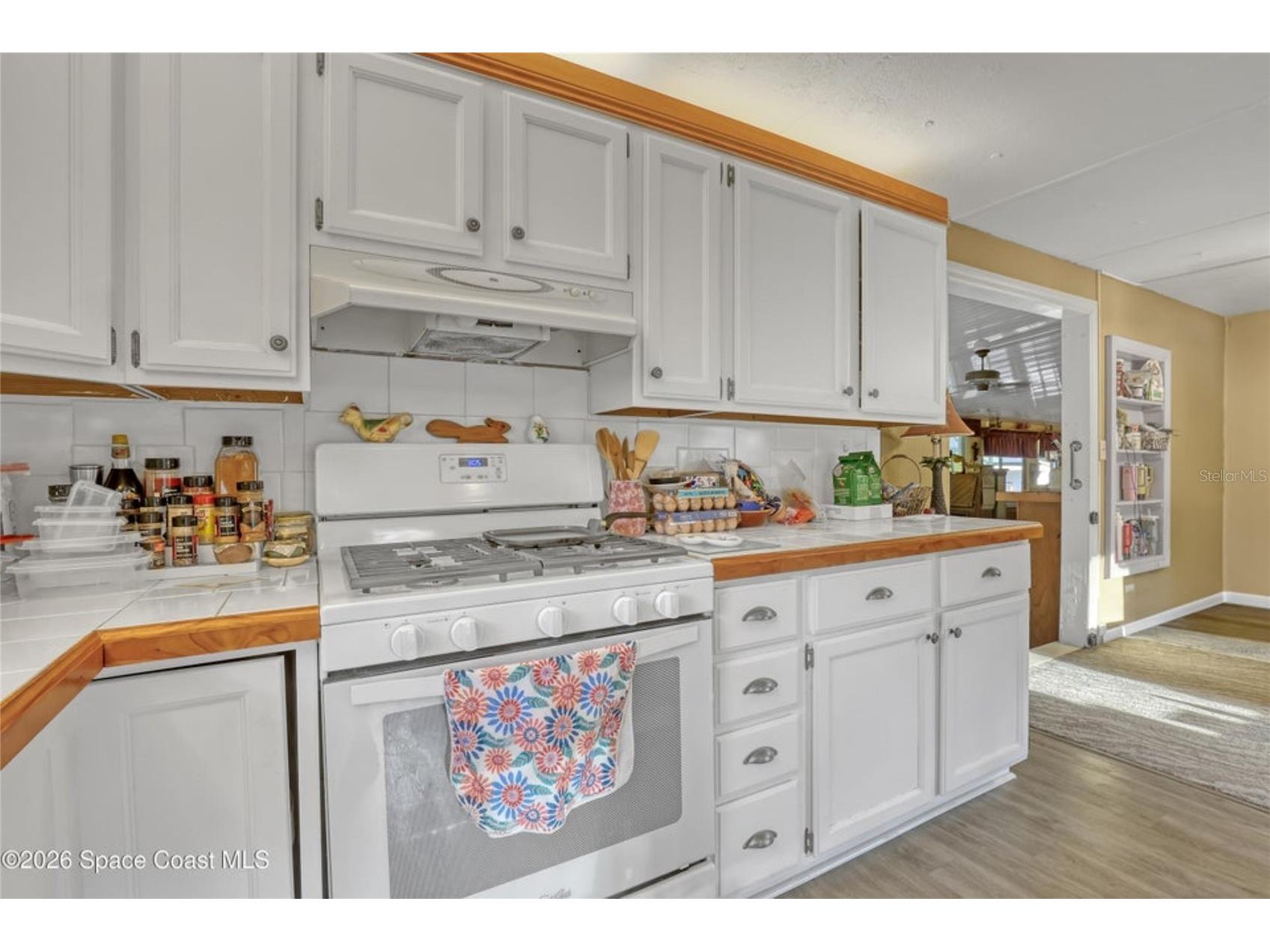 2540 Tuscany Drive Mims FL 32754 O6400644 image15