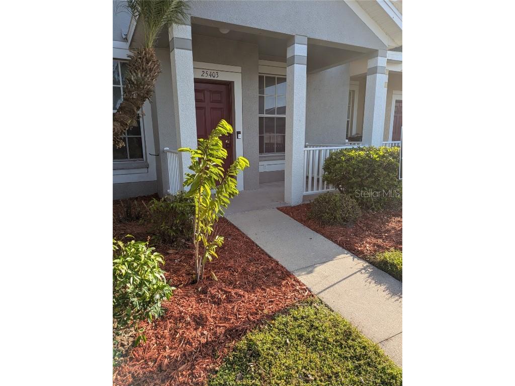 25403 Saddlehorn Way Land O Lakes FL 34639 TB8416591 image1