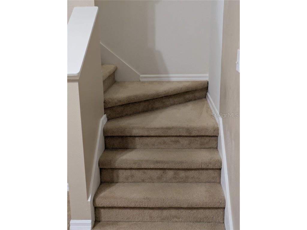 25403 Saddlehorn Way Land O Lakes FL 34639 TB8416591 image10