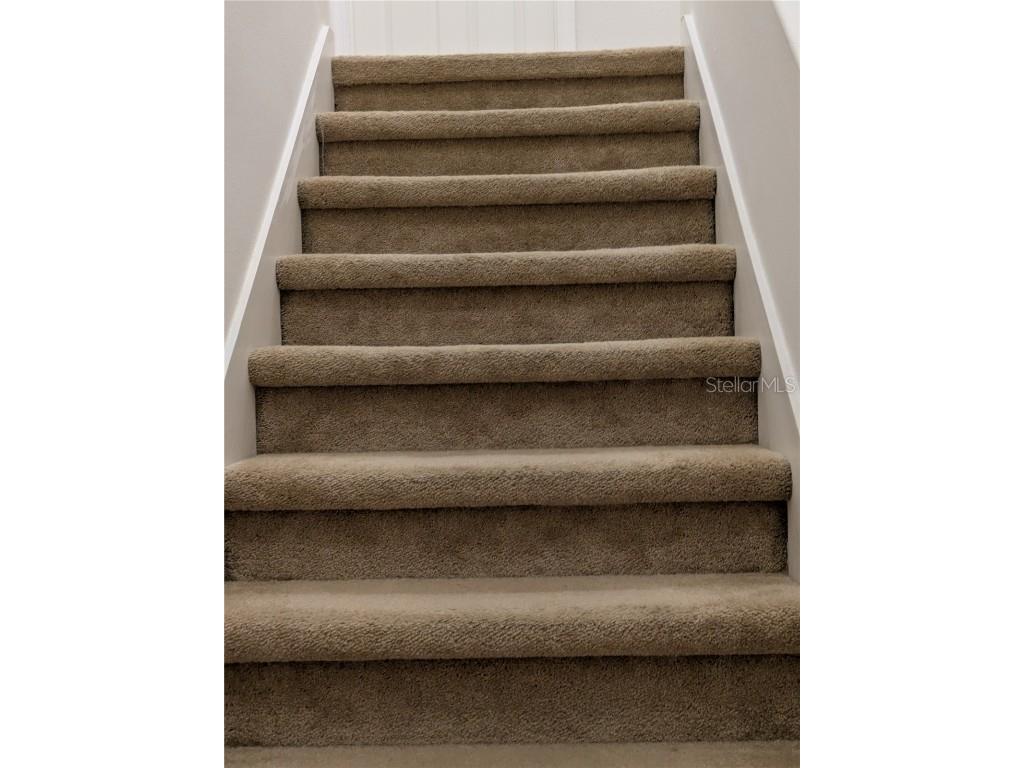 25403 Saddlehorn Way Land O Lakes FL 34639 TB8416591 image11