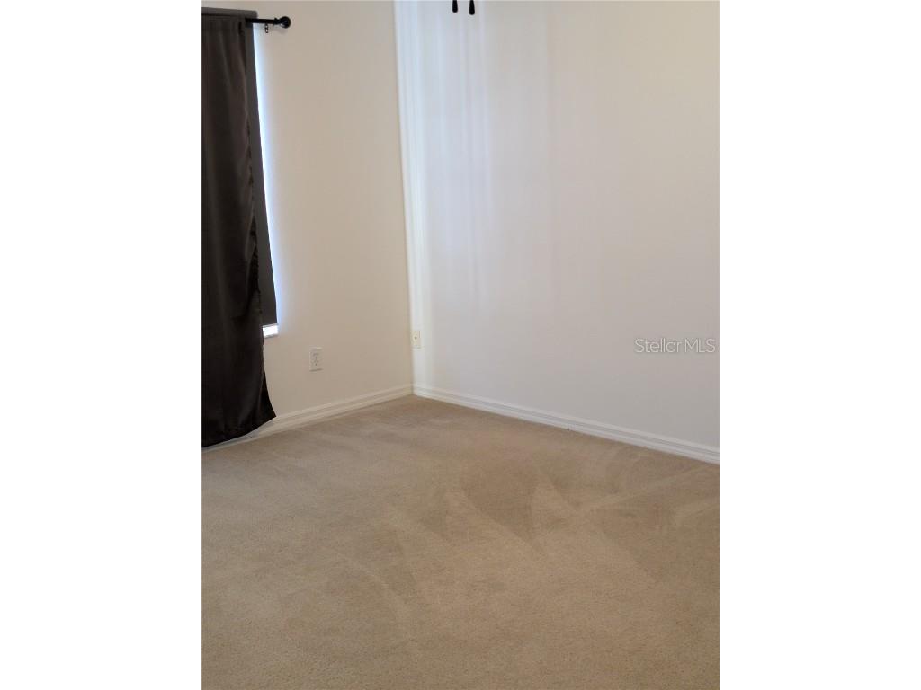 25403 Saddlehorn Way Land O Lakes FL 34639 TB8416591 image12