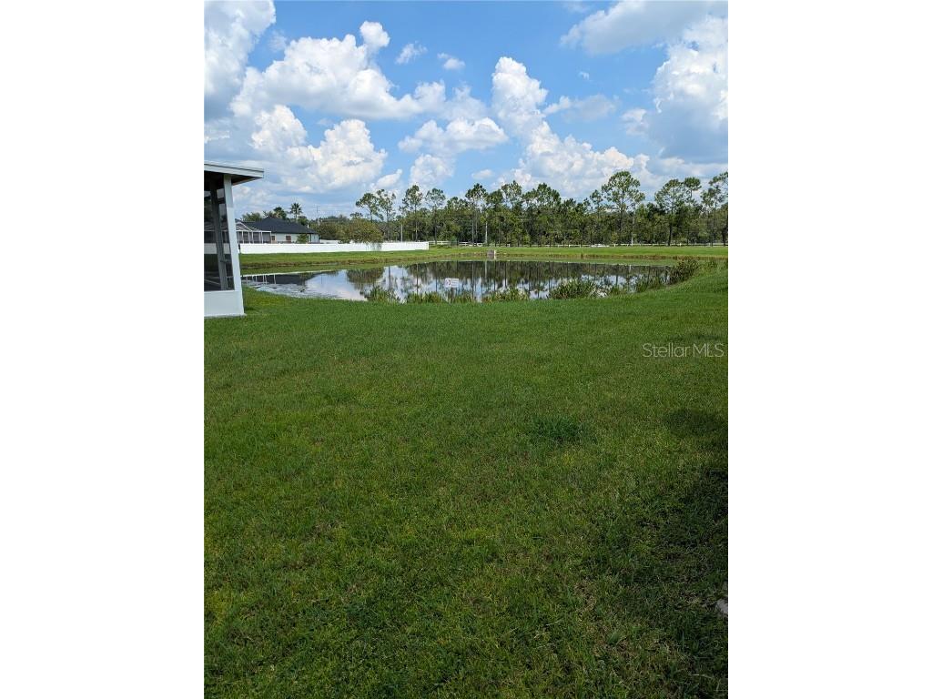 25403 Saddlehorn Way Land O Lakes FL 34639 TB8416591 image3